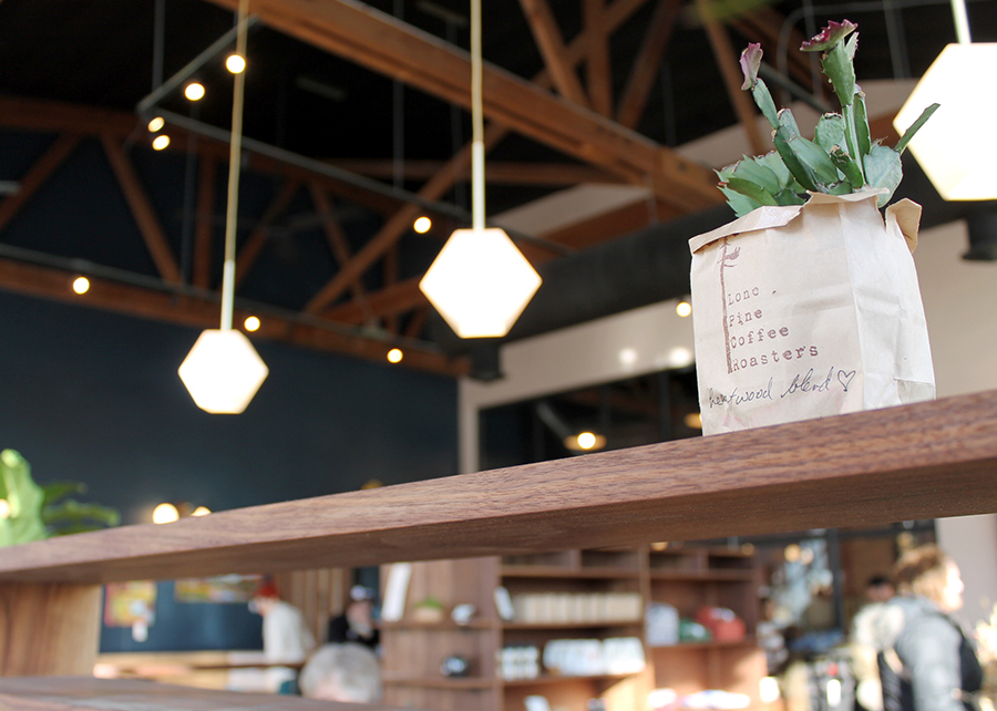 A close up shot of the wood grain used for the display cases. A Christmas cactus is planted in an old Lone Pine coffee bag. Geometric light fixtures hang from the ceiling